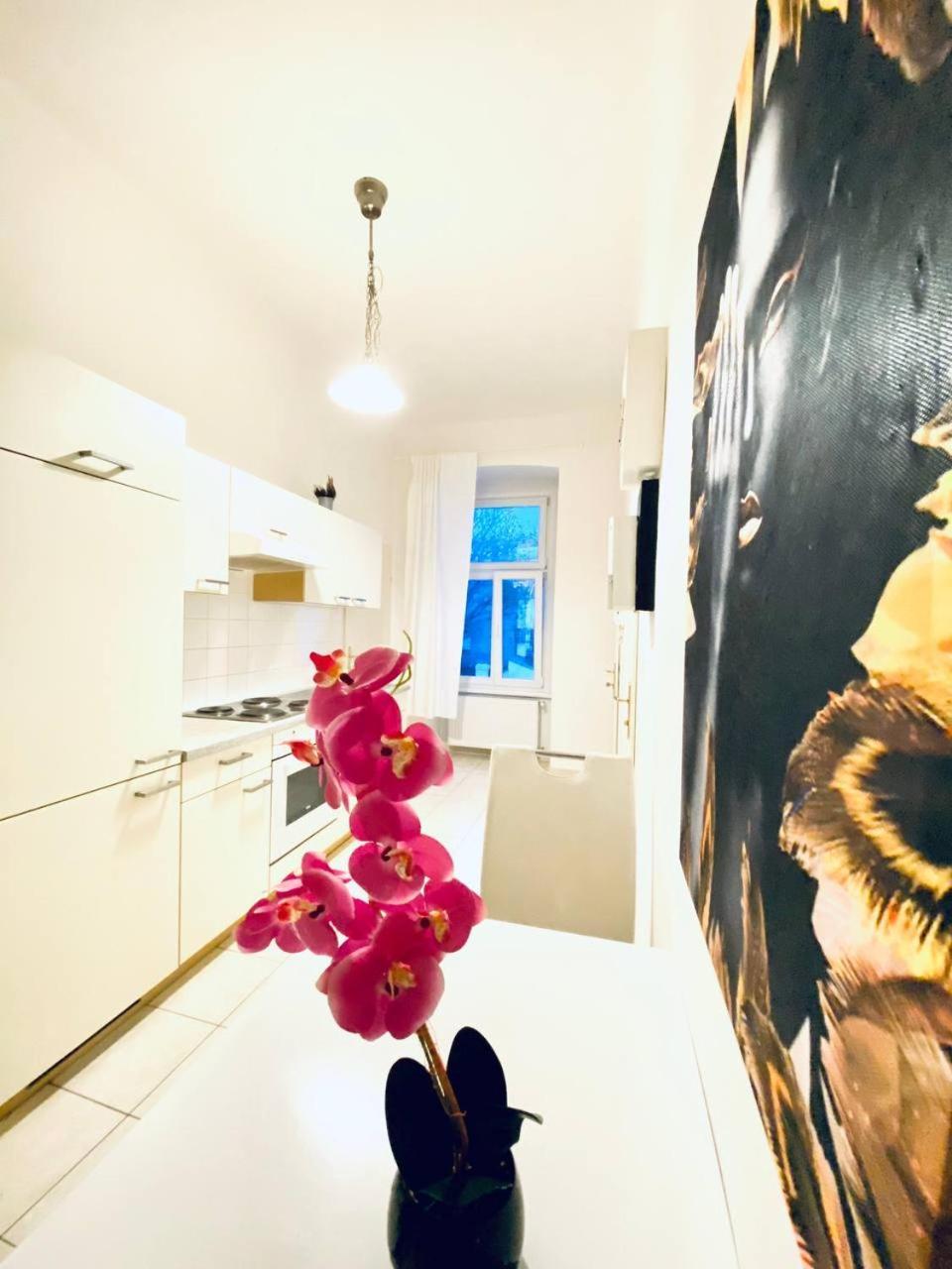 Family Apartment Th8 8 维也纳 外观 照片