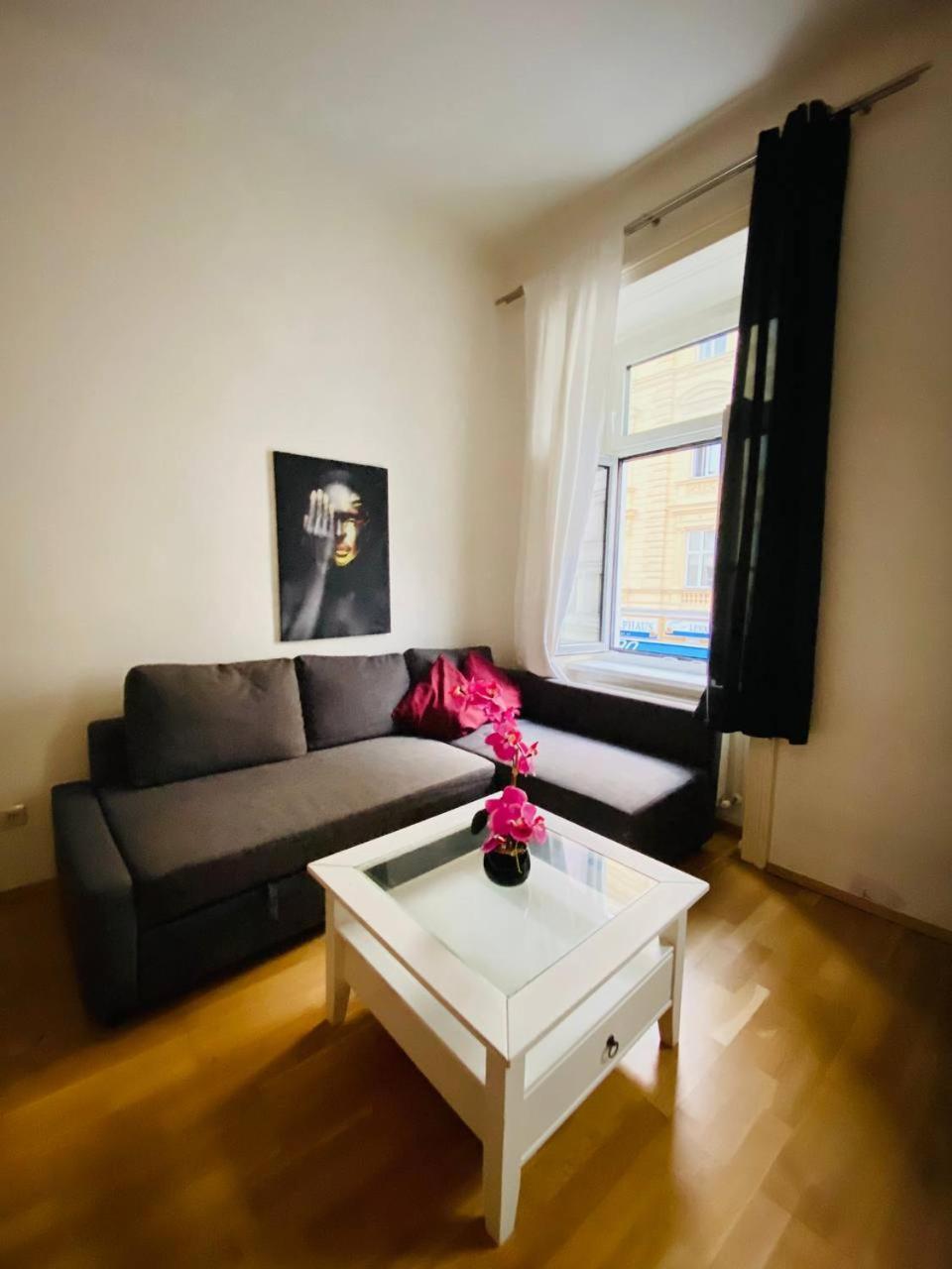 Family Apartment Th8 8 维也纳 外观 照片