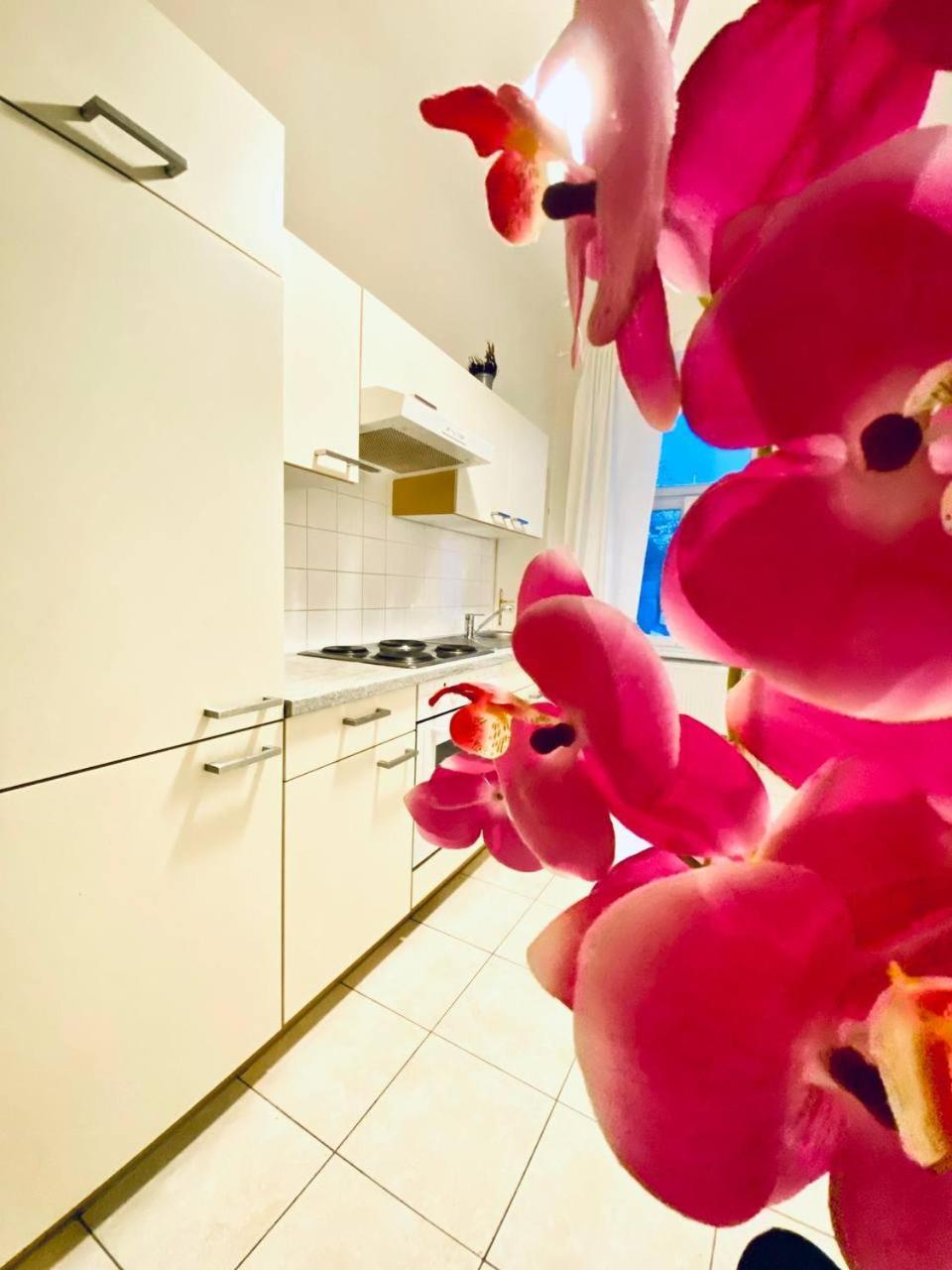 Family Apartment Th8 8 维也纳 外观 照片