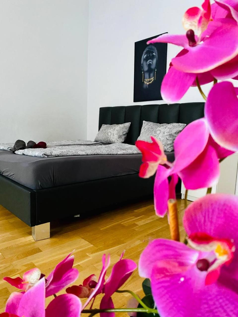 Family Apartment Th8 8 维也纳 外观 照片
